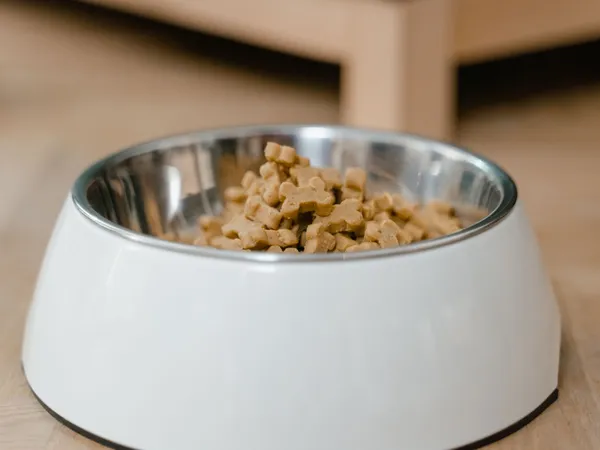 Ração Premium para Cães Adultos 15kg