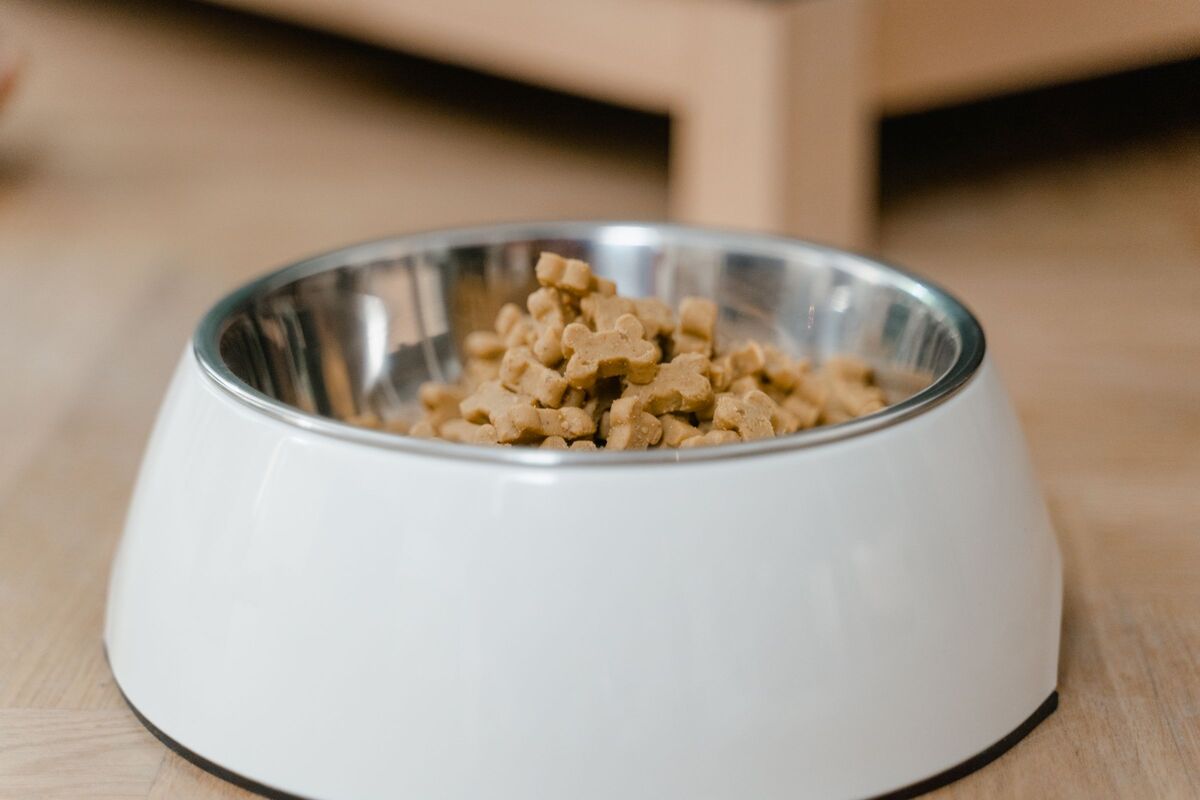 Ração Premium para Cães Adultos 15kg