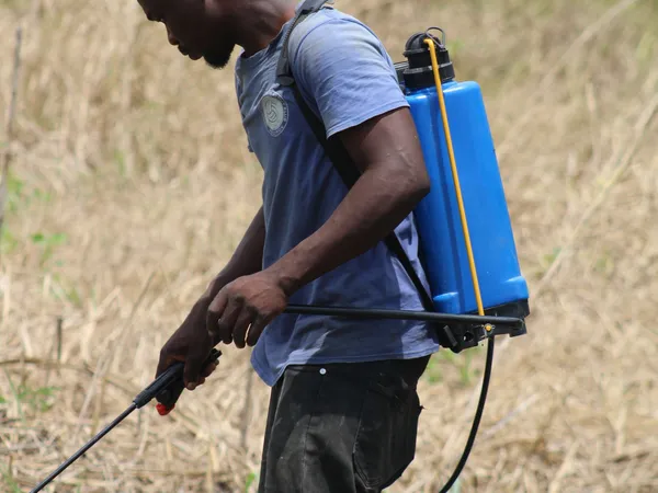 Pulverizador Costal 20L