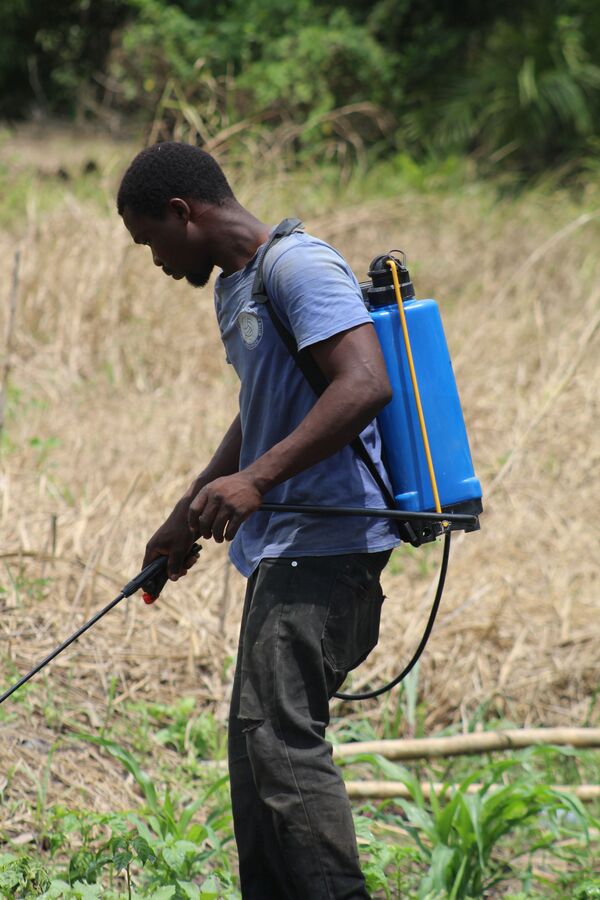Pulverizador Costal 20L