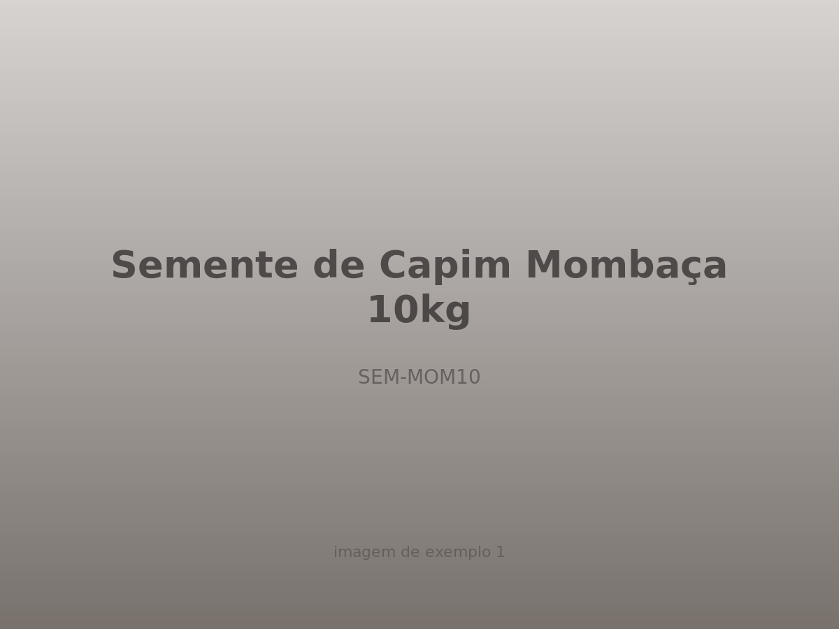 Semente de Capim Mombaça 10kg